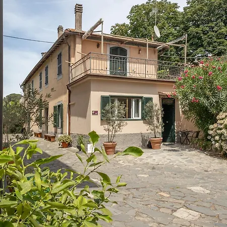 Palazzo Dasso Viterbo Exterior photo